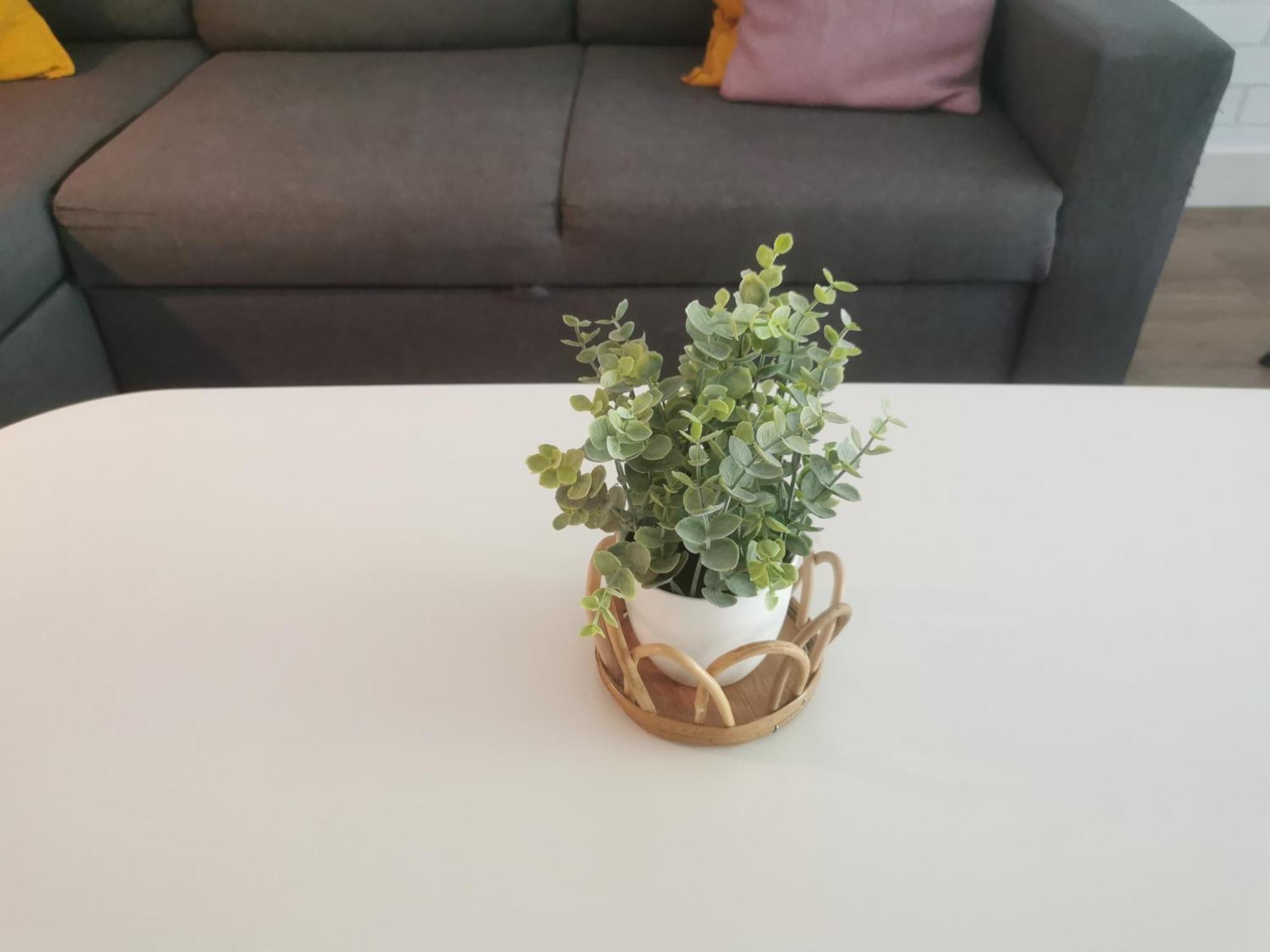 Yerseke Maarten & Hanh Ngoại thất bức ảnh